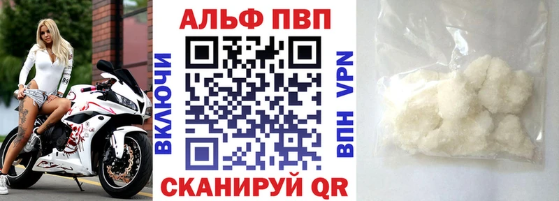 Альфа ПВП СК Дигора
