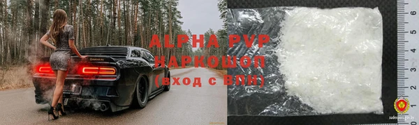 индика Вяземский