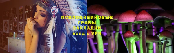 ешки Горно-Алтайск